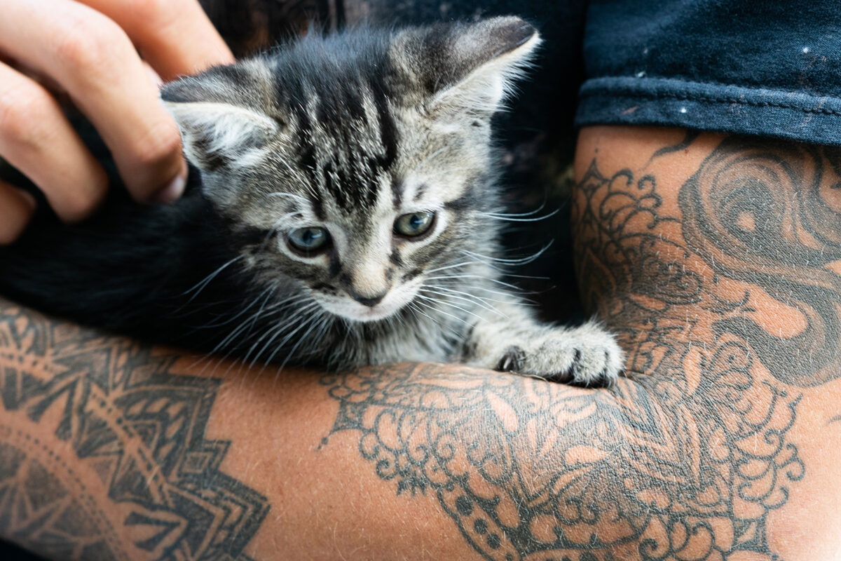 tatuaggio mandala