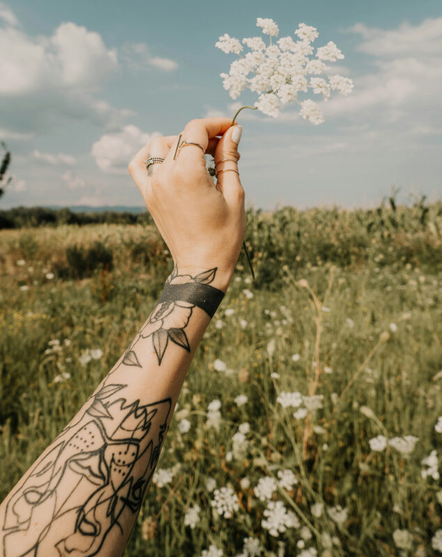 tatuaggio del leone